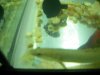 DSCN4379.JPG