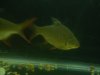 DSCN4390.JPG