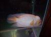 100_0584.jpg