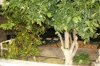 SMM_0009.JPG