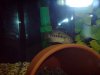 DSC00346.JPG