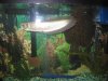 Stingray 050.jpg