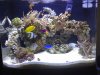 03-10-08_1500.jpg