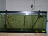 100_0785.jpg