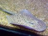 100_0384.jpg