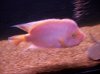 100_0631.jpg
