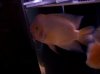 100_0654.jpg