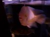 100_0656.jpg