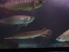 DSCF5814.JPG