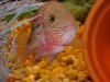 DSC01418.JPG