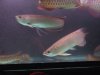 DSCF5816.JPG