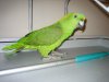 Charlie 6-06.jpg
