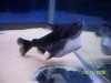 100_6417.jpg 100_6417.jpg