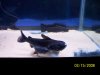 100_6412.jpg 100_6412.jpg