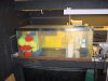 DSC00013.JPG