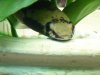 DSC00309.JPG