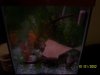 100_2694.JPG