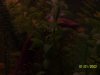 100_2697.JPG