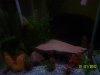 100_2692.JPG