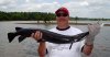 longnose_gar_blackGA.jpg
