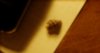 DSC00783.JPG
