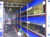 IMG_4175 Fish Sale 4.JPG