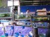 IMG_4181 Stepped Tanks.JPG