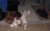 DSCN2210.JPG