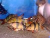 DSC00160.JPG