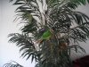 DSCN0495.JPG
