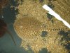 DSC00314.JPG