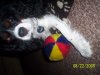 100_4146.JPG