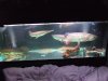 DSCF6042.JPG