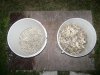 DSC03119 (Medium).JPG DSC03119 (Medium).JPG