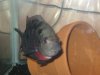 Picture 005.jpg