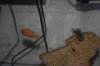 IMG_0780.JPG IMG_0780.JPG