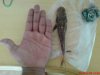 DSC03969.JPG