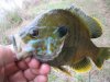 fishin pics 014.jpg