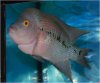 Aquavision_20080405_007.jpg