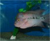 Aquavision_20080405_008.jpg