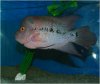 Aquavision_20080405_009.jpg