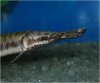 Aquavision_20080405_003.jpg