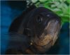 Aquavision_20080405_005.jpg