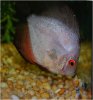 Aquavision_20080405_011.jpg