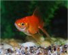 Aquavision_20080405_016.jpg