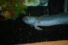 DSC_0042.JPG