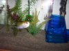 100_3583.JPG