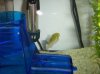 100_3503.JPG
