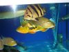 DSC00106.JPG