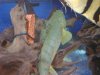 DSC00116.JPG